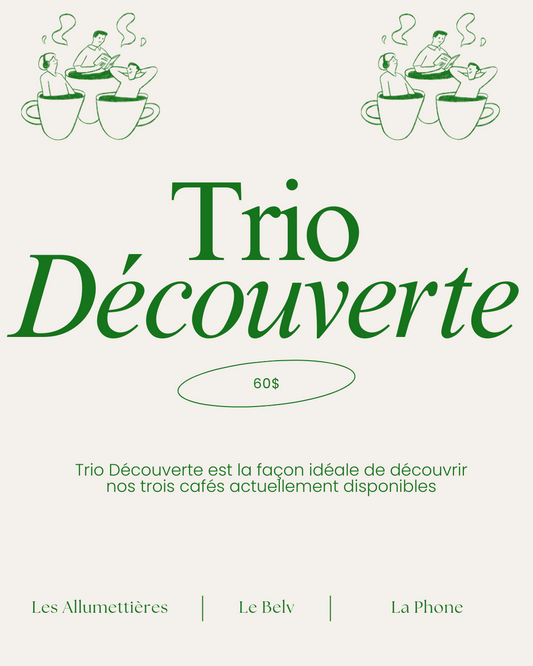 Trio découverte